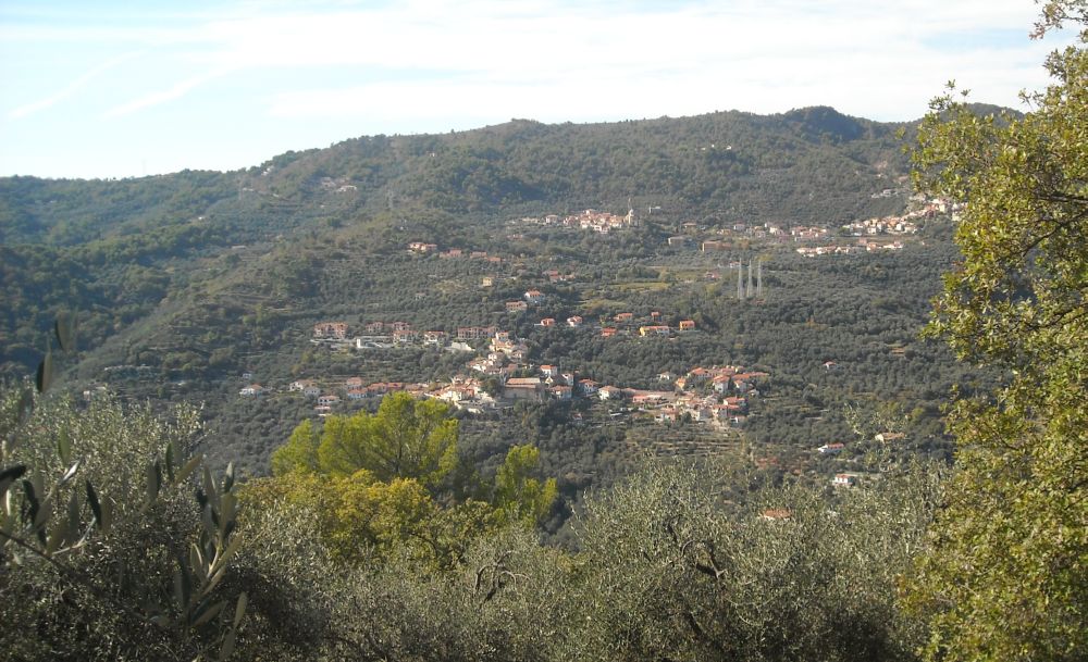 A Diano Arentino domenica 29 c’è la Camminata fra gli ulivi, iscrivetevi in tempo