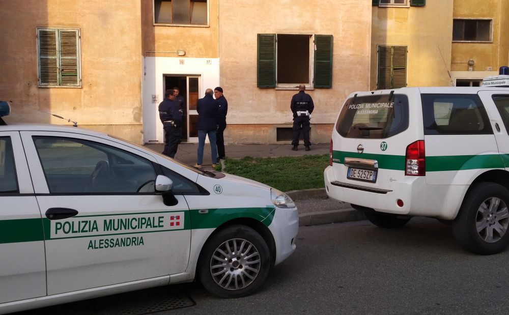 I Vigili urbani di Alessandria sequestrano 21 gatti chiusi in una casa. Una persona denunciata per maltrattamento degli animali