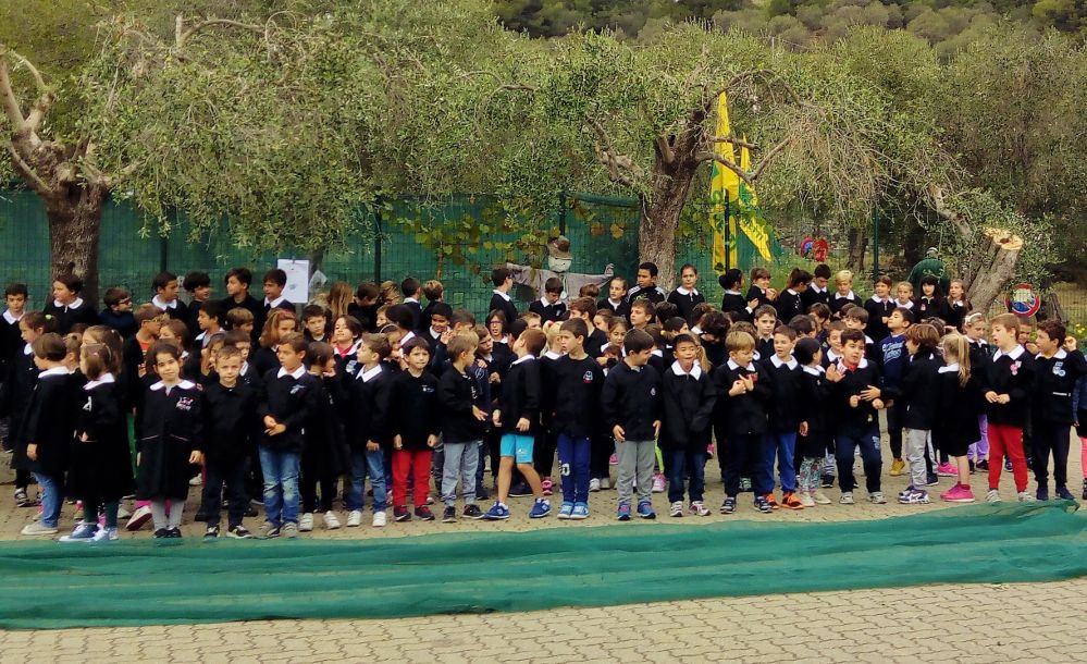 Gli alunni della scuola Alba Filipponi di San Bartolomeo hanno imparato come si raccolgono le olive