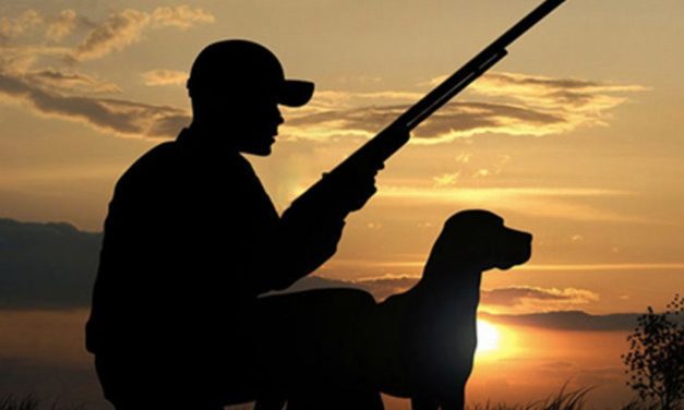Vietare la caccia solo la domenica forse non è una buona cosa