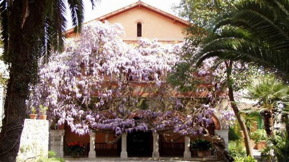 Sabato un incontro nel giardino del museo di Bordighera