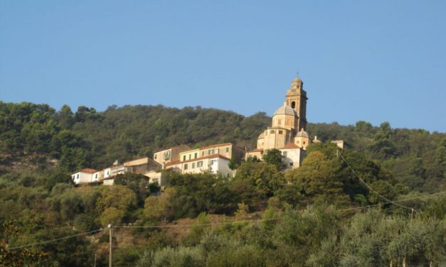 A Diano Arentino la mandria  allo stato brado è un pericolo concreto per le persone e le aziende