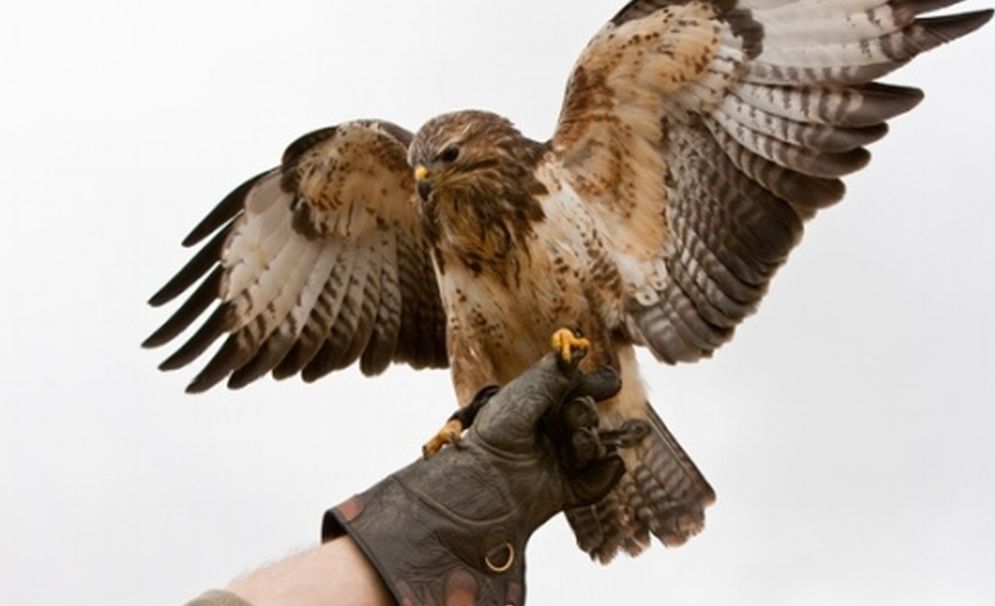 A San Bartolomeo l’Associazione “Stella Polare” organizza due manifestazioni benefiche per Ospedale pediatrico di Genova