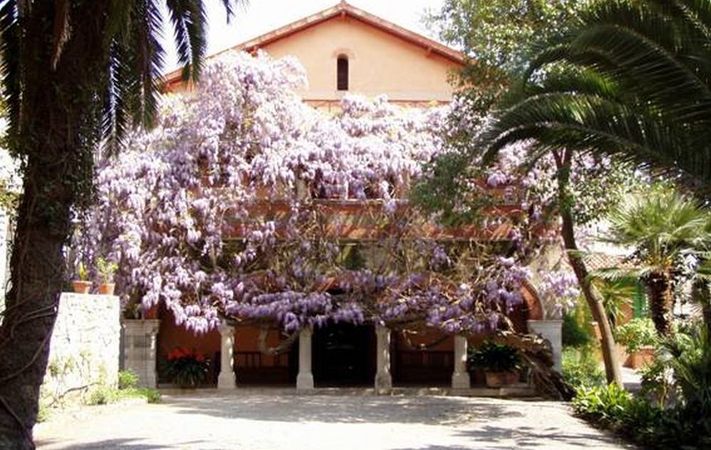 A Bordighera prolungata fino al 30 marzo 2019 La mostra “Clarence bicknell in the past for the future. Inter-relazioni”