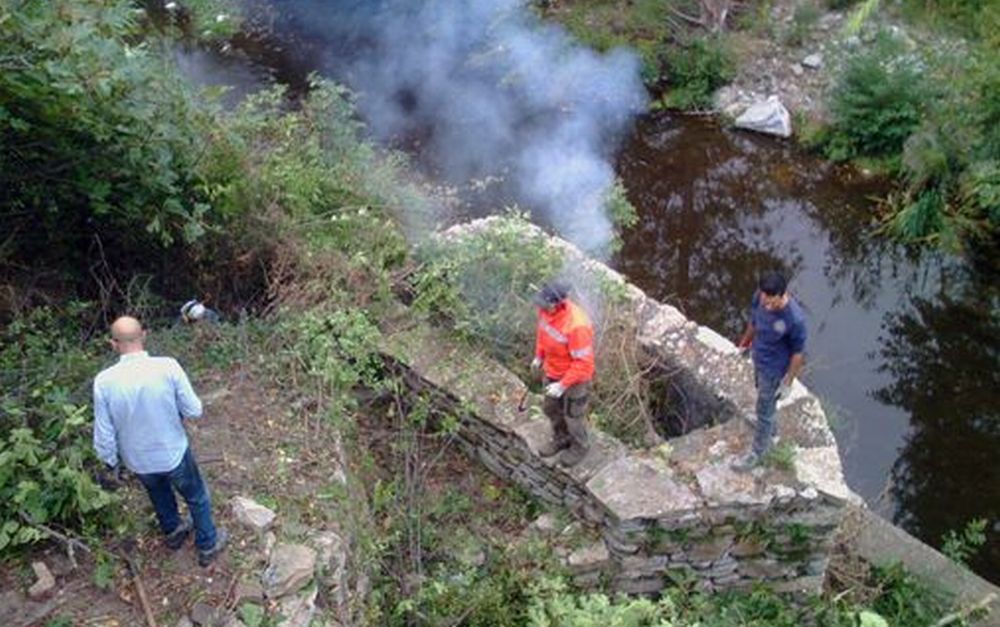 Otto comuni della Valle Impero “bonificano” la zona del frantoio Roccanegra: eliminati i roveti nella campagna a Chiusavecchia
