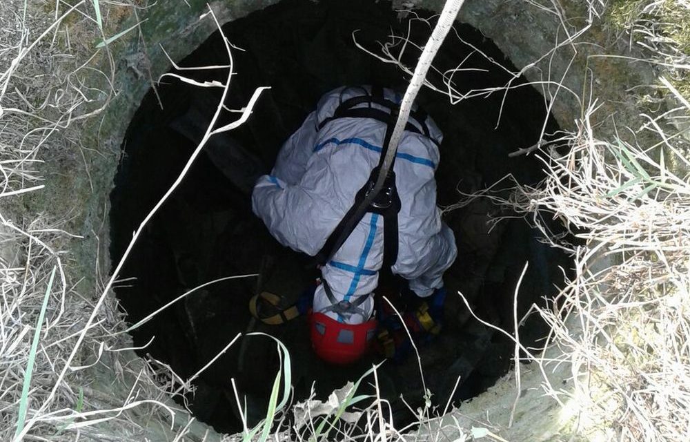 I Vigili del Fuoco di Tortona salvano una pecora caduta in un pozzo da due settimane a Rivalta Scrivia