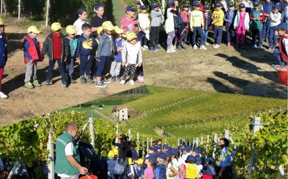 A Novi Ligure Open Day alla scuola bilingue Kidschool