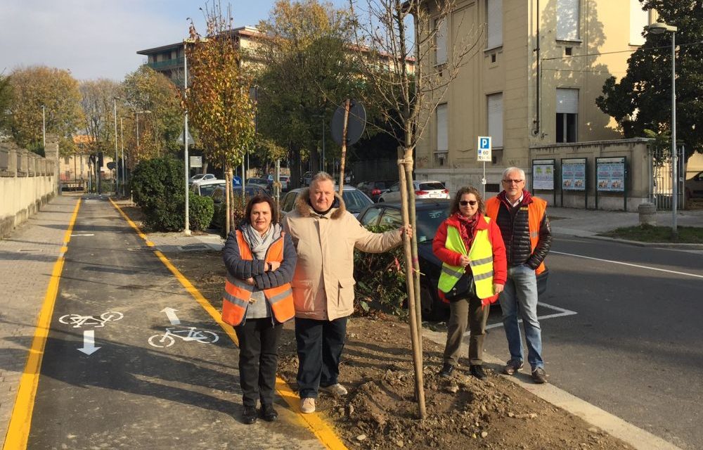 Piantumate nuove essenze arboree “Chanticleer” a Voghera