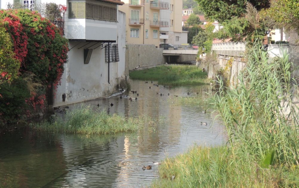 Pulito il torrente Varcavello a Diano Marina grazie ad un contributo della Regione