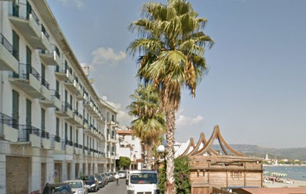 A Diano Marina si potano le palme in via Torino, da martedì vietato parcheggiare per due giorni