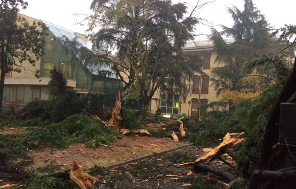 Paura a Tortona per un fulmine caduto sull’ospedale.  Vetri in frantumi e pezzi di albero da tutte le parti