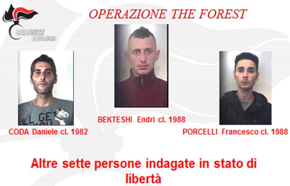 Brillante operazione dei carabinieri di Acqui Terme con 3 arresti e 7 persone denunciate