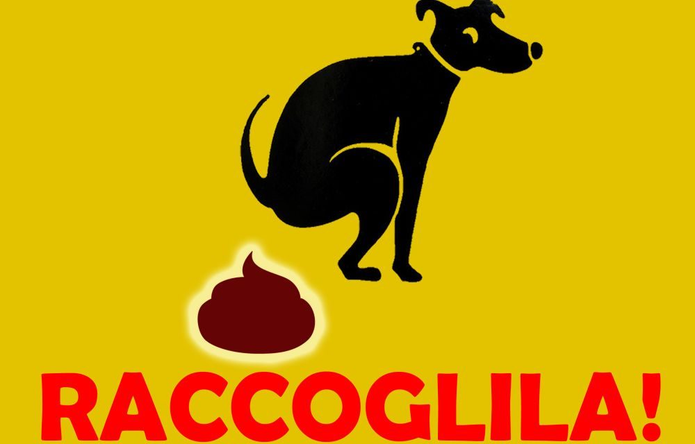 Multe minime da 100 euro a Taggia a chi non raccoglie le deiezioni di cani