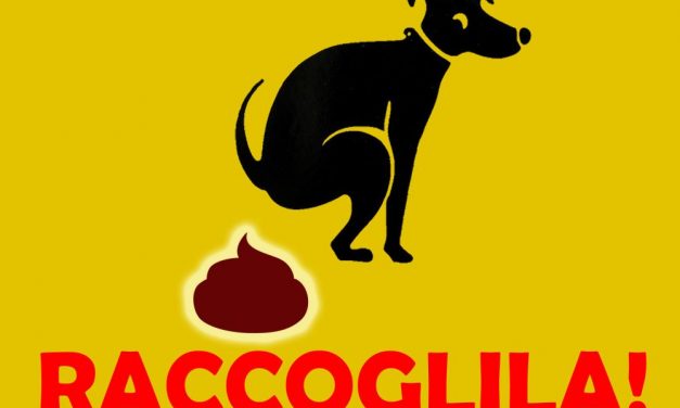 Multe minime da 100 euro a Taggia a chi non raccoglie le deiezioni di cani