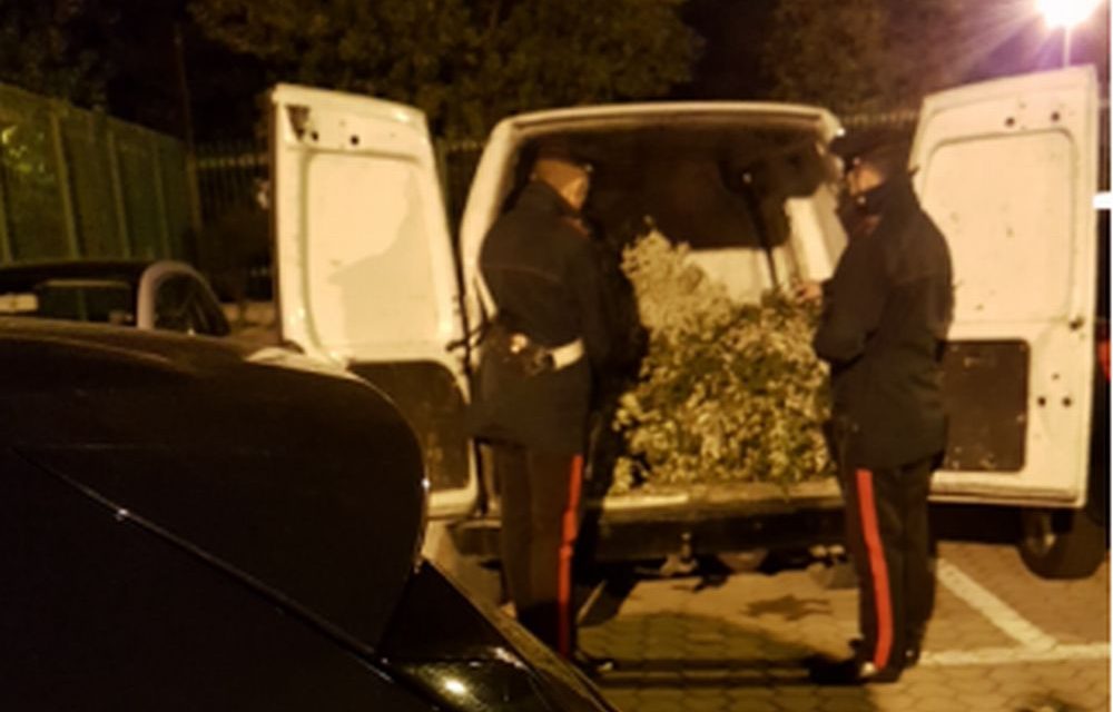Rubano 200 kg di piante ornamentali a Taggia, arrestati dai Carabinieri  due fratelli moldavi