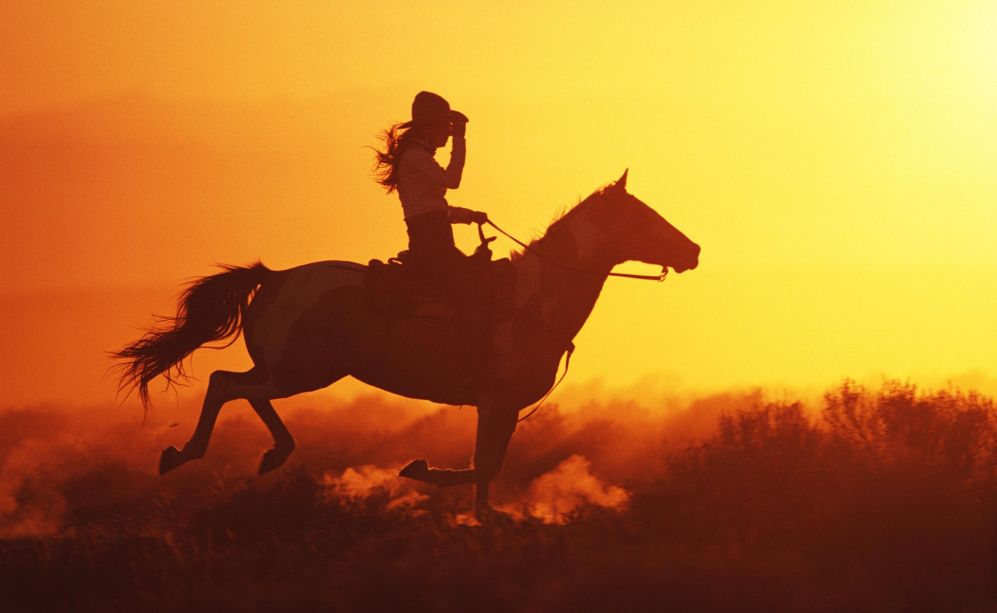 Vai al maneggio, sali su un cavallo e ti ritrovi una bolletta dell