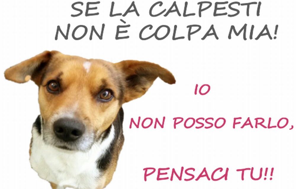 A Tortona parte una campagna per sensibilizzare i proprietari a raccogliere gli escrementi dei loro cani