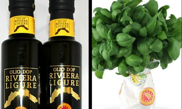 Olio in provincia di Imperia, si prevede una buona raccolta e di ottima qualità