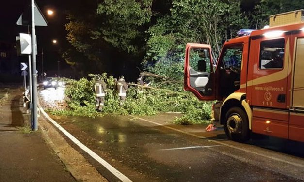 Quasi cento interventi in due giorni nel novese per alberi caduti e cavi elettrici “saltati”