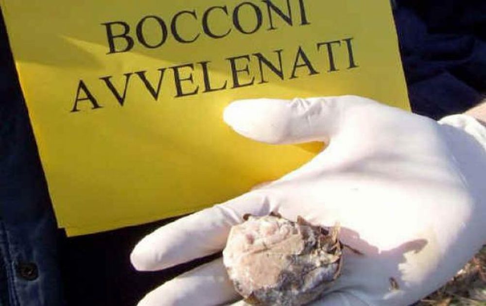 Otto Sindaci del Tortonese contro i bocconi avvelenati disseminati nella zona