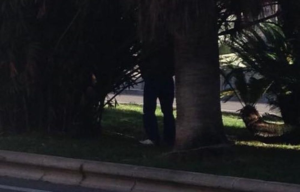 A Sanremo la pipì in pieno giorno si fa nei giardini del centro…..