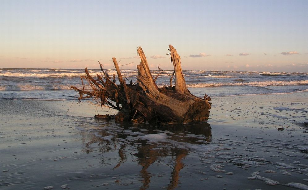 A Ventimiglia si può raccogliere il legno che le mareggiate hanno portato sulle spiagge