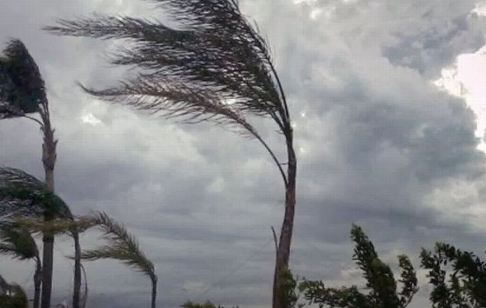 Il vento flagella Sanremo, diversi interventi dei Vigili del fuoco per tegole a alberi pericolanti