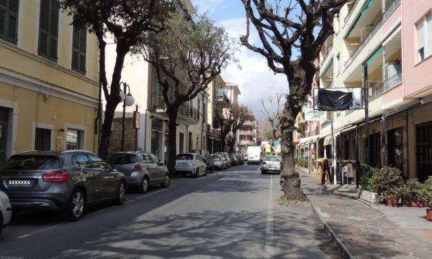 Topi in pieno centro a Diano Marina, un commerciante ne uccide uno in via Colombo