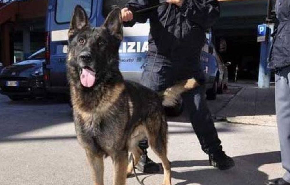 Imperia. Controllo del territorio. Le attività della Polizia di Stato.