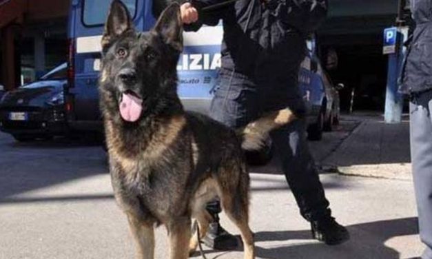 La Polizia di Imperia fa controlli nelle scuole