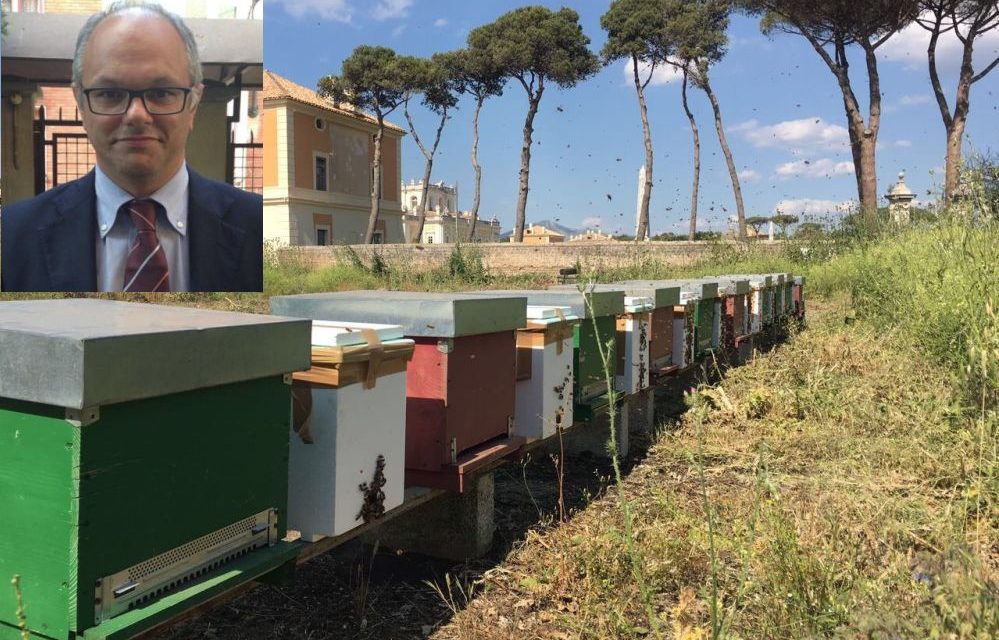 A Tortona si controlla l’ambiente con le api utilizzando un metodo innovativo