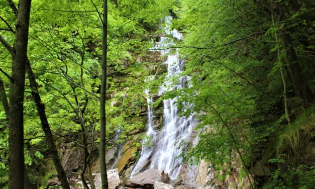 Le manifestazioni del week end nei comuni del Parco delle Alpi Liguri