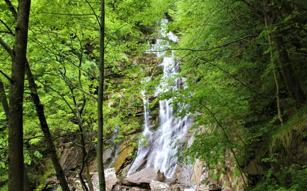 Gli appuntamenti del week end nel parco della Alpi Liguri