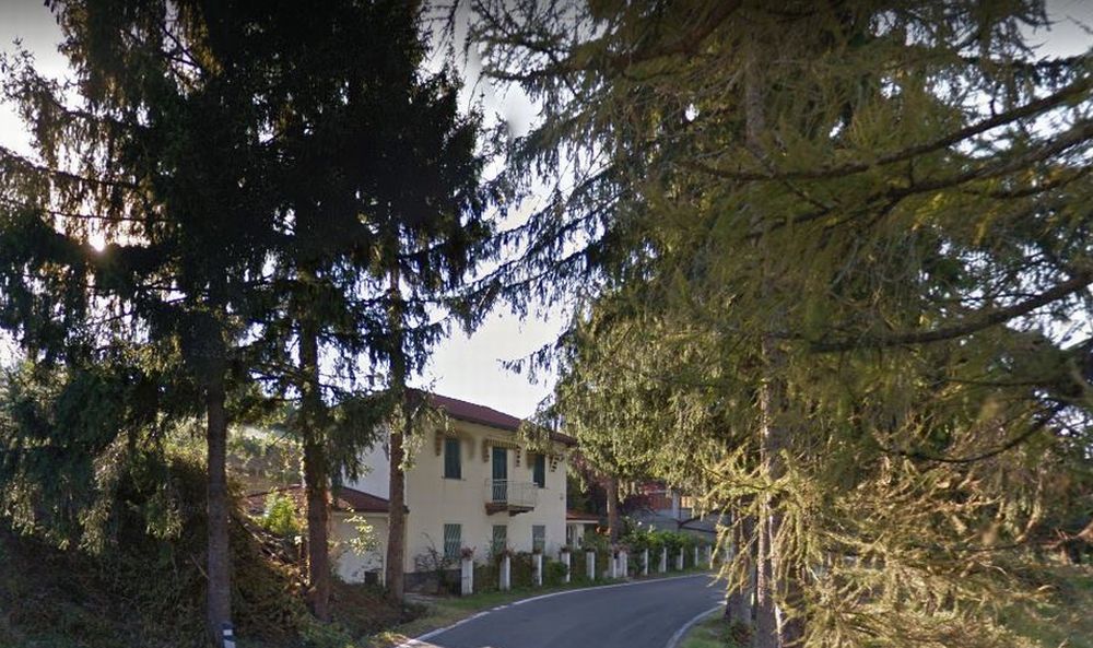 Alberi tagliati a Dernice, in Val Curone, un lettore ritorna sulla questione