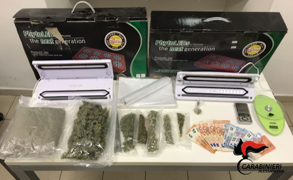 I carabinieri di Alessandria sequestrano 600 grammi di droga e arrestato lo spacciatore