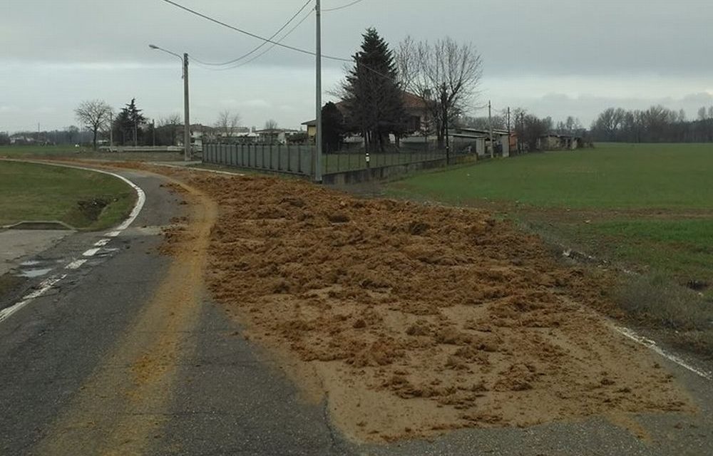 Il mondo sta diventando sempre più di cacca e a Carbonara Scrivia ha addirittura invaso via Tortona creando problemi al traffico