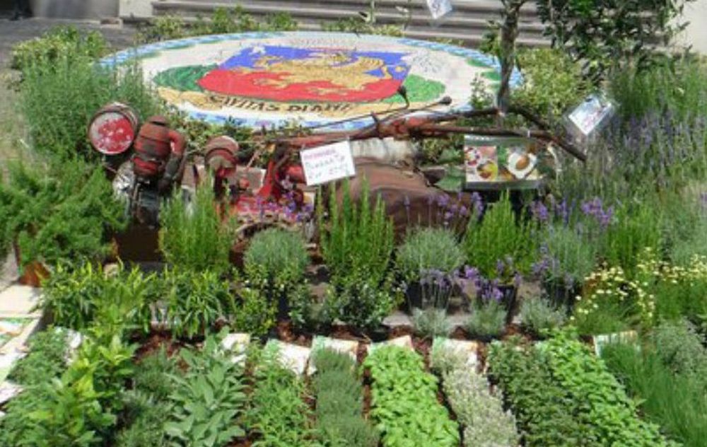 Stand prodotti locale e Cooking show con i cuochi in piazza del municipio a Diano Marina per “Aromatica”