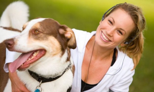 Sabato a Casale Monferrato si raccolgono alimenti per gli animali