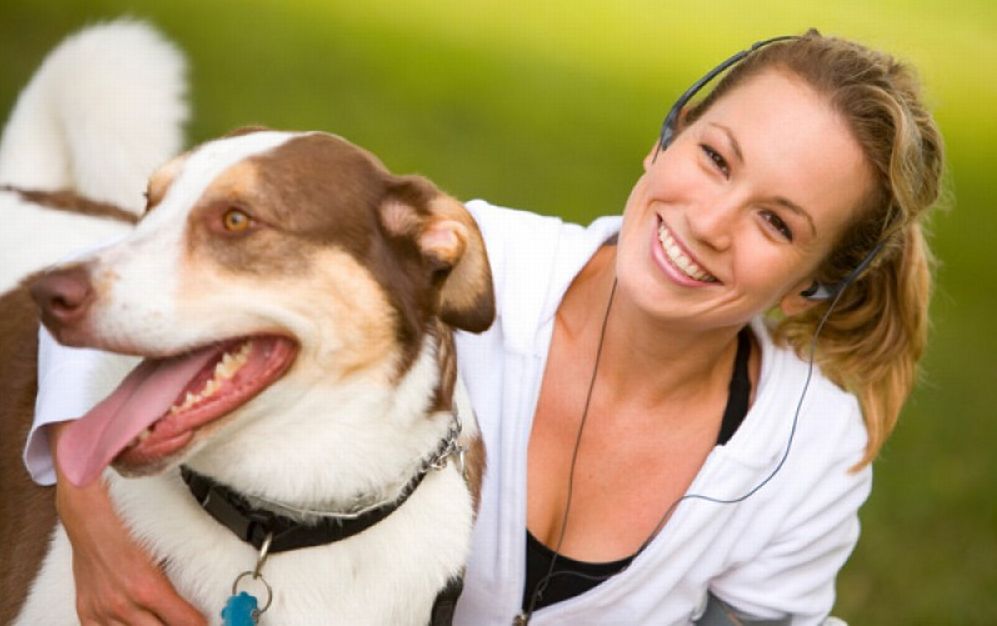 Cani randagi a Diano Marina: ogni anno il Comune è costretto a spendere circa 29 mila euro