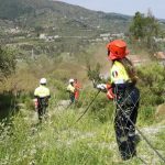 Protezione Civile, al via i campi estivi per i giovani: tre gli appuntamenti nella provincia di Alessandria