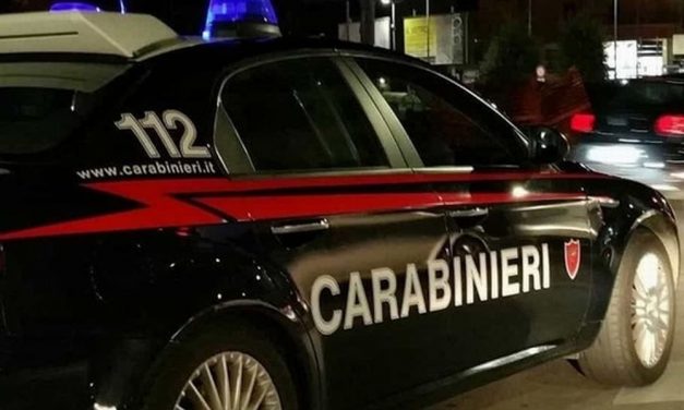 Canapa “light” controlli dei Carabinieri nel Ponente ligure, sequestrate e distrutte oltre 2.000 piante