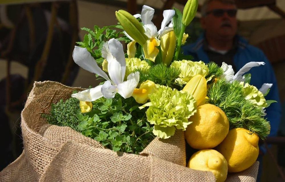 Nel Ponente ligure e non solo gli agricoltori si mobilitano per combattere psicosi e sostenere mercati e agriturismo