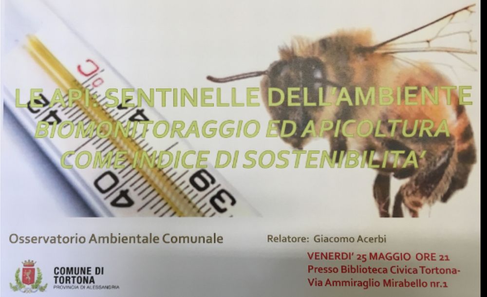 Venerdì a Tortona un dibattito sull’Ambiente e le api