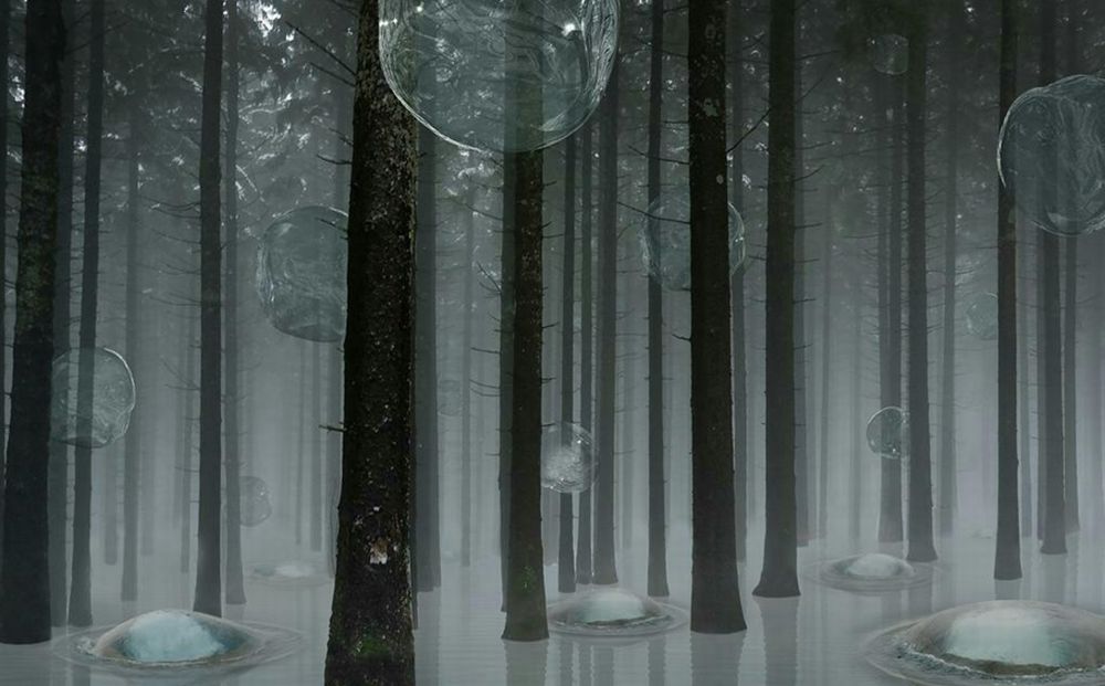 Aqua Aura e Manuela Toselli arricchiscono le collezioni di arte della città di Alessandria con due donazioni