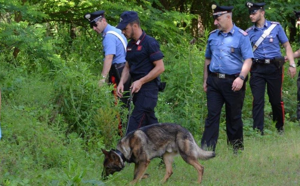 Ecco cosa succedeva a Castelnuovo Scrivia nel parco trasformato in una centrale di droga