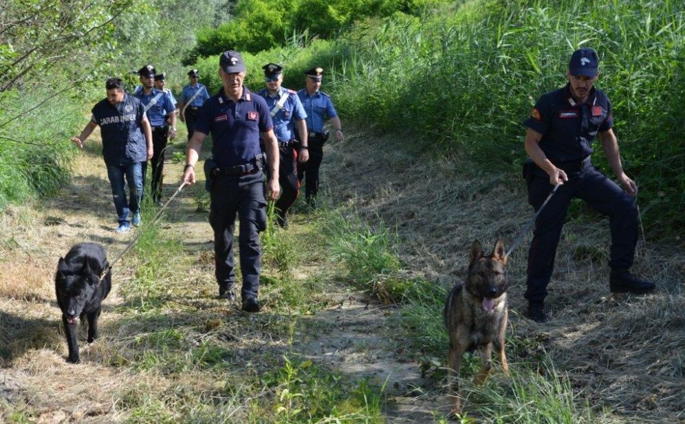 Il parco di Castelnuovo Scrivia centro di smistamento della droga del Nord Italia. I Carabinieri sgominano una gang di 30 persone