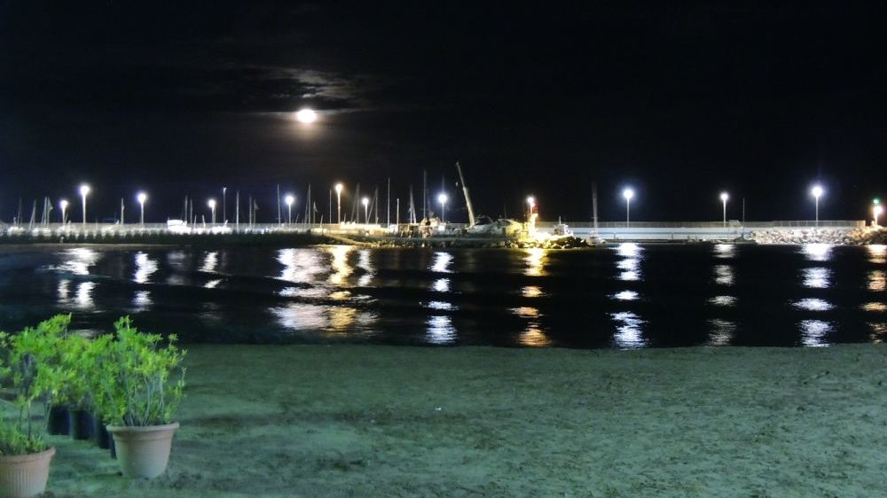 Gli appuntamenti di Domenica a Diano Marina