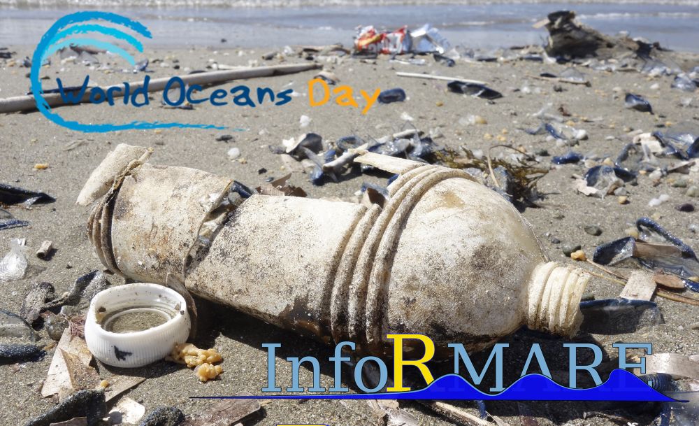 Venerdì mattina a Diano Marina gli alunni delle scuole festeggiano la Giornata Mondiale degli Oceani grazie ad “InfoRmare”