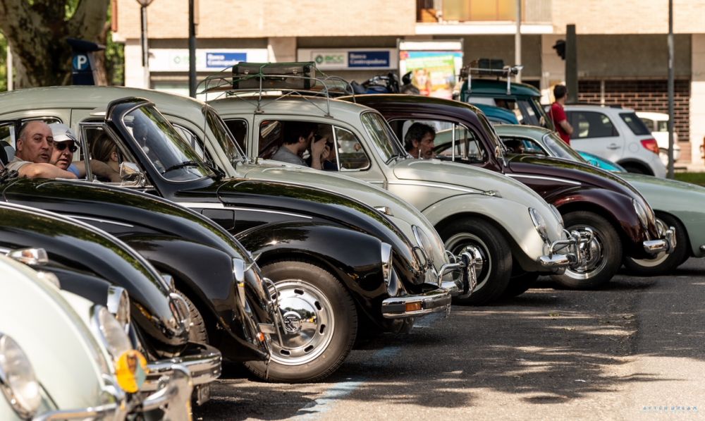 Grande partecipazione al raduno dei maggiolini che si è svolto a Tortona. Le immagini