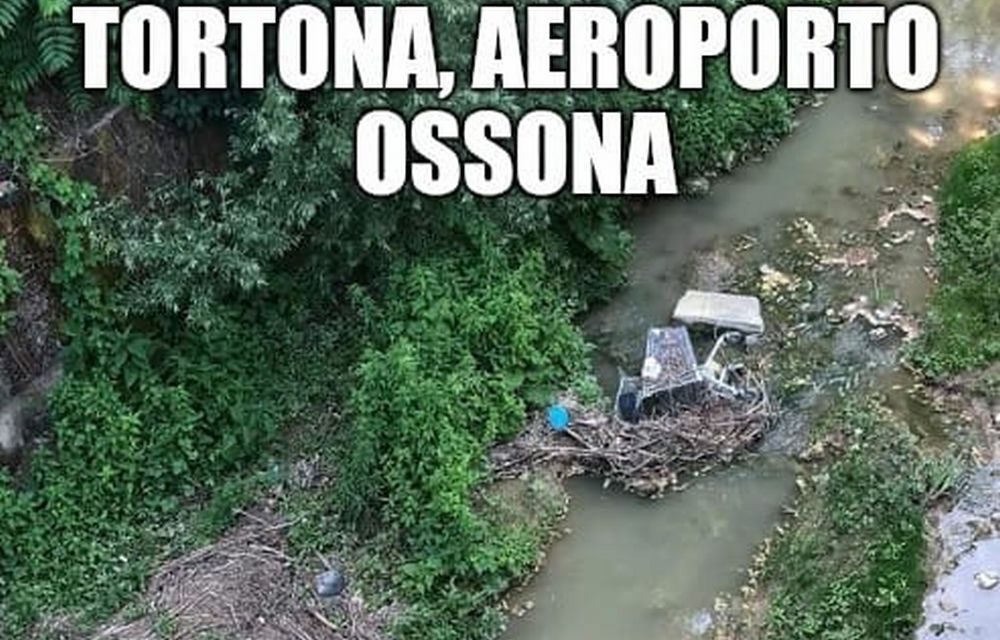 La pagina satirica di Tortona si chiama “La Piccola Tortona degli orrori”. Visitatela